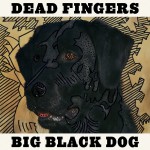 Buy Big Black Dog