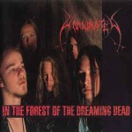 Buy In The Forest Of The Dreaming Dead
