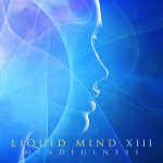 Buy Liquid Mind Xiii: Mindfulness