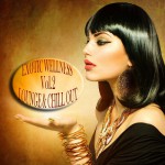 Buy Exotic Wellness Lounge And Chill Out Vol. 2: Relaxing Selection Of Erotic Lounge Grooves