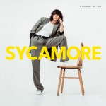 Buy Sycamore