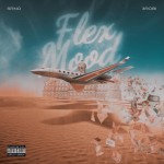 Buy Flex Mood (Feat. 3Robi)