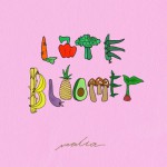 Buy Late Bloomer