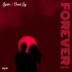 Buy Forever (With Omah Lay) (Remix) (CDS)
