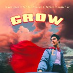 Buy Grow (CDS)