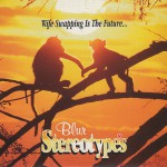 Buy 10 Yr Boxset: Stereotypes CD14