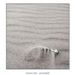 Buy Grounded