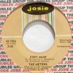 Buy Message From The Meters / Zony Mash (VLS)