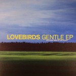Buy Gentle (EP)
