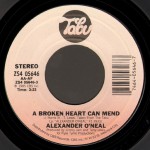 Buy A Broken Heart Can Mend (VLS)