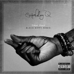 Buy That Part (Black Hippy Remix) (CDS)