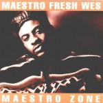 Buy Maestro Zone
