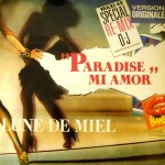 Buy Paradise Mi Amor (VLS)