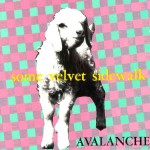 Buy Avalanche