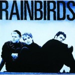Buy Rainbirds