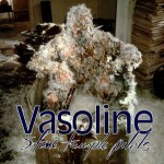 Buy Vasoline (MCD)