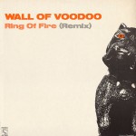Buy Ring Of Fire (Remix) (VLS)