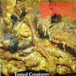 Buy Tested Creatures / Resected Excoriated Cavity