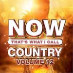 Buy Now That's What I Call Country Vol 12