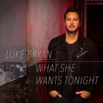 Buy What She Wants Tonight (CDS)