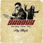Buy Fly High (feat. Gary Nesta Pine) (CDM)