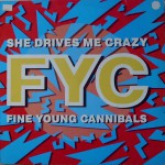 Buy She Drives Me Crazy (CDS)