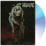 Buy Rituals of Shame