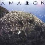 Buy Amarok