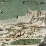 Buy Birnam Wood