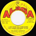 Buy I Can't Stop You From Doing (The Things You Want To Do) & Streakin' (VLS)