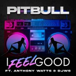 Buy I Feel Good (Feat. Anthony Watts & Djws) (CDS)