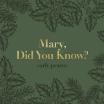 Buy Mary, Did You Know? (CDS)