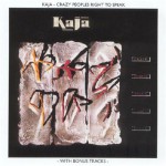 Buy Crazy Peoples Right To Speak