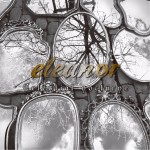 Buy Celestial Nocturne