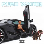 Buy Pure Water (& Migos) (CDS)