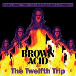 Buy Brown Acid: The Twelfth Trip (Heavy Rock From The Underground Comedown)
