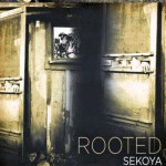 Buy Rooted