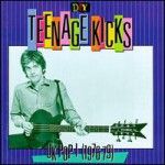 Buy D.I.Y.: Teenage Kicks: UK Pop (1976-79)