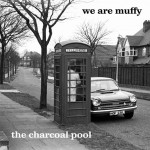 Buy The Charcoal Pool