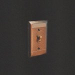 Buy Light Switch (CDS)