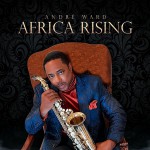 Buy Africa Rising