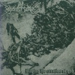 Buy Raping The Creation Of God