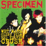 Purchase Specimen Wet Warm Clingfilm Red Velvet Crush