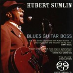 Buy Blues Guitar Boss