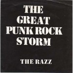 Buy The Great Punk Rock Storm (Vinyl)