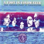 Buy Second Foot In Cold Water (Vinyl)