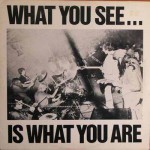 Buy What You See Is Whatyou Are (Vinyl)