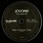 Buy The Wait (EP) (Vinyl)