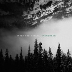 Buy Evergreen