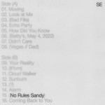 Buy No Rules Sandy